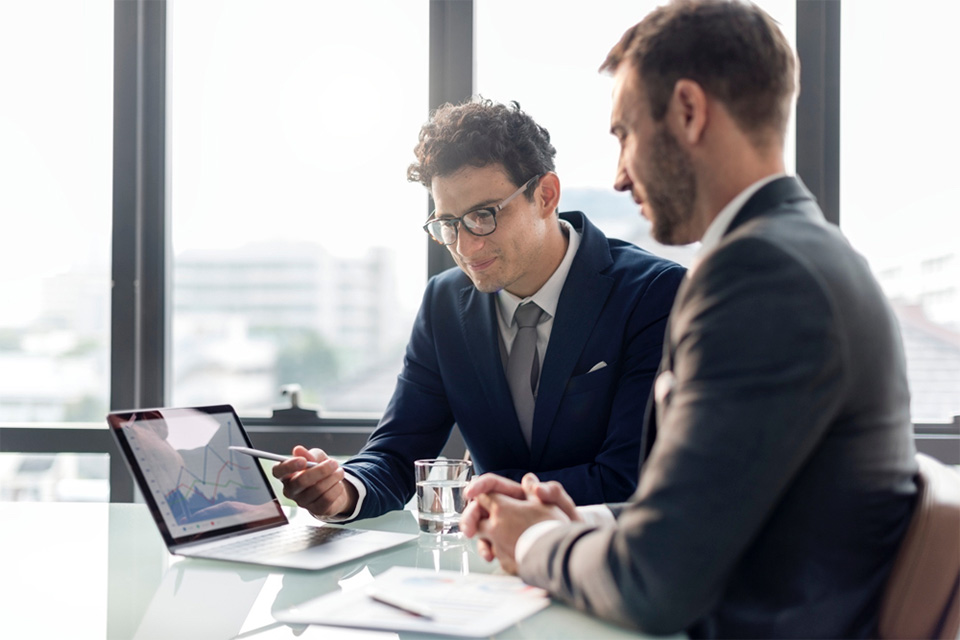 Consulting on a multi-company and international merger.